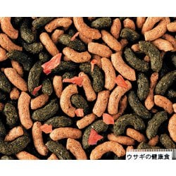 ヨドバシ.com - GEX ジェックス うさぎの健康食 [にんじんプラス850g