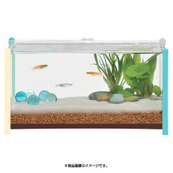 ヨドバシ Com Gex ジェックス キュービーワイド ブルー 21cmインテリア水槽 通販 全品無料配達 ヨドバシ Com Gex ジェックス キュービーワイド ブルー 21cmインテリア水槽 通販 全品無料配達