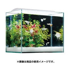 ヨドバシ Com Gex ジェックス クリアled エコリオ スライド 水槽用照明 Ledライト 通販 全品無料配達