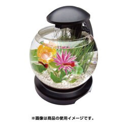 ヨドバシ.com - スペクトラム ブランズ ジャパン テトラ テトラ