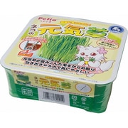 猫元気草Y2010
