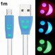 イルミネーションフラットケーブル microUSB 1m ブルー IKS-CABL12811