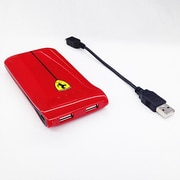2USBポート(USB出力:2ポート 最大合計:1A) リチウムバッテリー2500mAh FEGLEB RE
