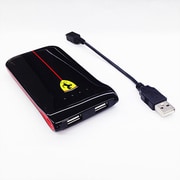 2USBポート(USB出力:2ポート 最大合計:1A) リチウムバッテリー2500mAh FEGLEB BL