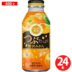 つぶたっぷり贅沢みかん [400g×24本]