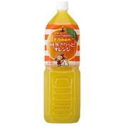 Ribbon 純水きりっとオレンジ [1.5L×8本]