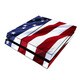 Play Station 4 Skin Patriotic [プレイステーション4用]