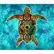 Play Station 4 Skin Sacred Honu [プレイステーション4用]