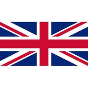 Play Station 4 Skin Union Jack [プレイステーション4用]