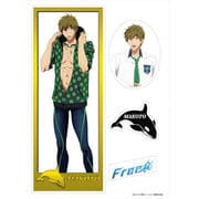 Free！ きゃらぺた 橘 真琴 M
