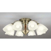 LEDシャンデリア ～8畳 8.5W×8灯 非調光 昼白色 OC006918ND