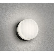LEDポーチライト 防雨・防湿型 6.5W 非調光 電球色 OG254193LD
