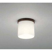 LED小型シーリングライト 5W 非調光 電球色 OL013377LD