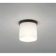 LED小型シーリングライト 5W 非調光 昼白色 OL013377ND