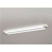 ベースライト 蛍光灯 FL40W×2灯 昼光色 OL015691A