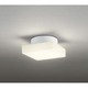 LED小型シーリングライト 8W 電球色 OL251235