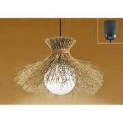 LEDペンダントライト 8.5W 非調光 昼白色 OP035303ND