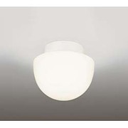 浴室灯 防雨・防湿型 蛍光灯15W 電球色 OW009095L