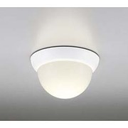 LED浴室灯 防雨・防湿型 5.8W 非調光 電球色 OW009264LD