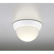 LED浴室灯 防雨・防湿型 5.8W 非調光 昼白色 OW009264ND