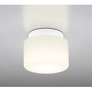 LED浴室灯 防雨・防湿型 5.8W 非調光 昼白色 OW009296ND