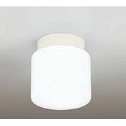 浴室灯 防雨・防湿型 蛍光灯15W 昼白色 OW009316N