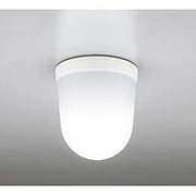 LED浴室灯 防雨・防湿型 5W 非調光 昼白色 OW009353ND
