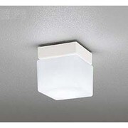 LED浴室灯 防雨・防湿型 5W 非調光 昼白色 OW009375ND