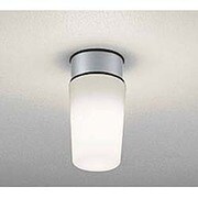 LED浴室灯 防雨・防湿型 5.8W 非調光 昼白色 OW009395ND