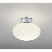 LED浴室灯 防雨・防湿型 5.8W 非調光 電球色 OW009398LD