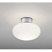 LED浴室灯 防雨・防湿型 5.8W 非調光 昼白色 OW009398ND