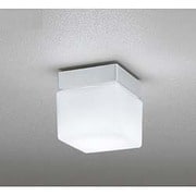 LED浴室灯 防雨・防湿型 5W 非調光 昼白色 OW009413ND