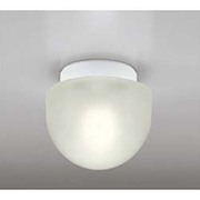 LED浴室灯 防雨・防湿型 5.8W 非調光 昼白色 OW009417ND