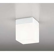LED浴室灯 防雨・防湿型 5.8W 非調光 昼白色 OW009421ND