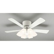 LEDシーリングファン ~6畳 51W 非調光 昼白色 リモコン付 WF418ND