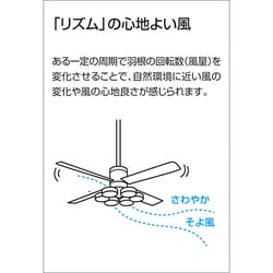 ヨドバシ.com - オーデリック ODELIC WF811 [シーリングファン