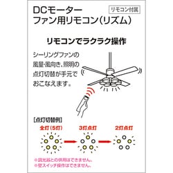 ODELIC オーデリック WF813 シーリングファン 器具本体(パイプ吊り) 白