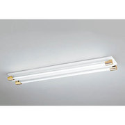 LEDベースライト 17.8W×2灯 非調光 昼光色 XL251200A