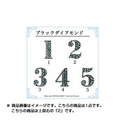 LMS-144-020902 [ナンバーデコシール ブラックダイアモンド (2)]