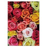 A5ノート[FIORE]RS-AS FIORE-23-55