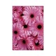 A5ノート[FIORE]GB-PK FIORE-23-57
