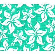 PlayStation 3 Slim Skin Mea Aloha [PlayStation 3 Slim用　ドレスアップシール]