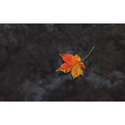 PlayStation 3 Super Slim Skin Haiku [PlayStation 3 Slim用　ドレスアップシール]
