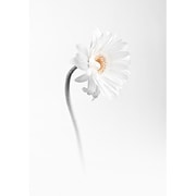 PlayStation 3 Super Slim Skin Stalker [PlayStation 3 Slim用　ドレスアップシール]