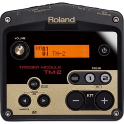 音源モジュール TM-2
