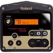 音源モジュール TM-2