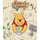 iPhone 5S Skin Rabbits House [Apple iPhone 5s用　ドレスアップシール]