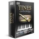 Tines Anthology [ソフトウエア音源]
