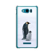 303SH-YCM2P0663-78 PictureCollectionsキュート&ペンギン [PictureCollectionsキュート&ペンギン]