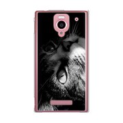 SoftBank 302SH AQUOS PHONE (アクオスフォン) 302SH-YCM2P0686-78 PictureCollectionsにゃんだ?子猫の興味津々
